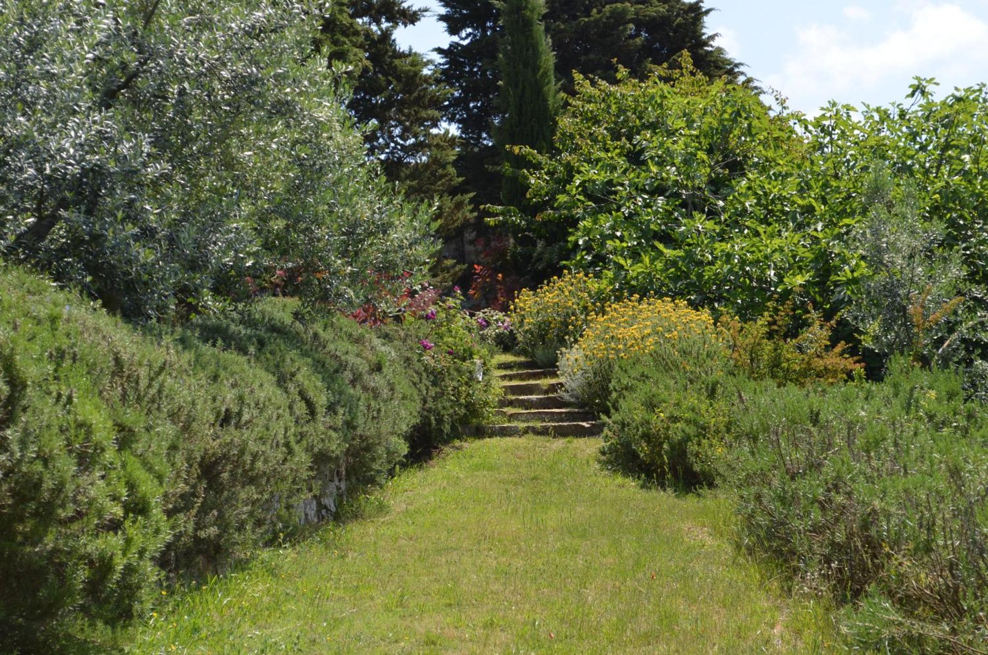 Casa Ercole Farm Stay Greve in Chianti Exterior foto