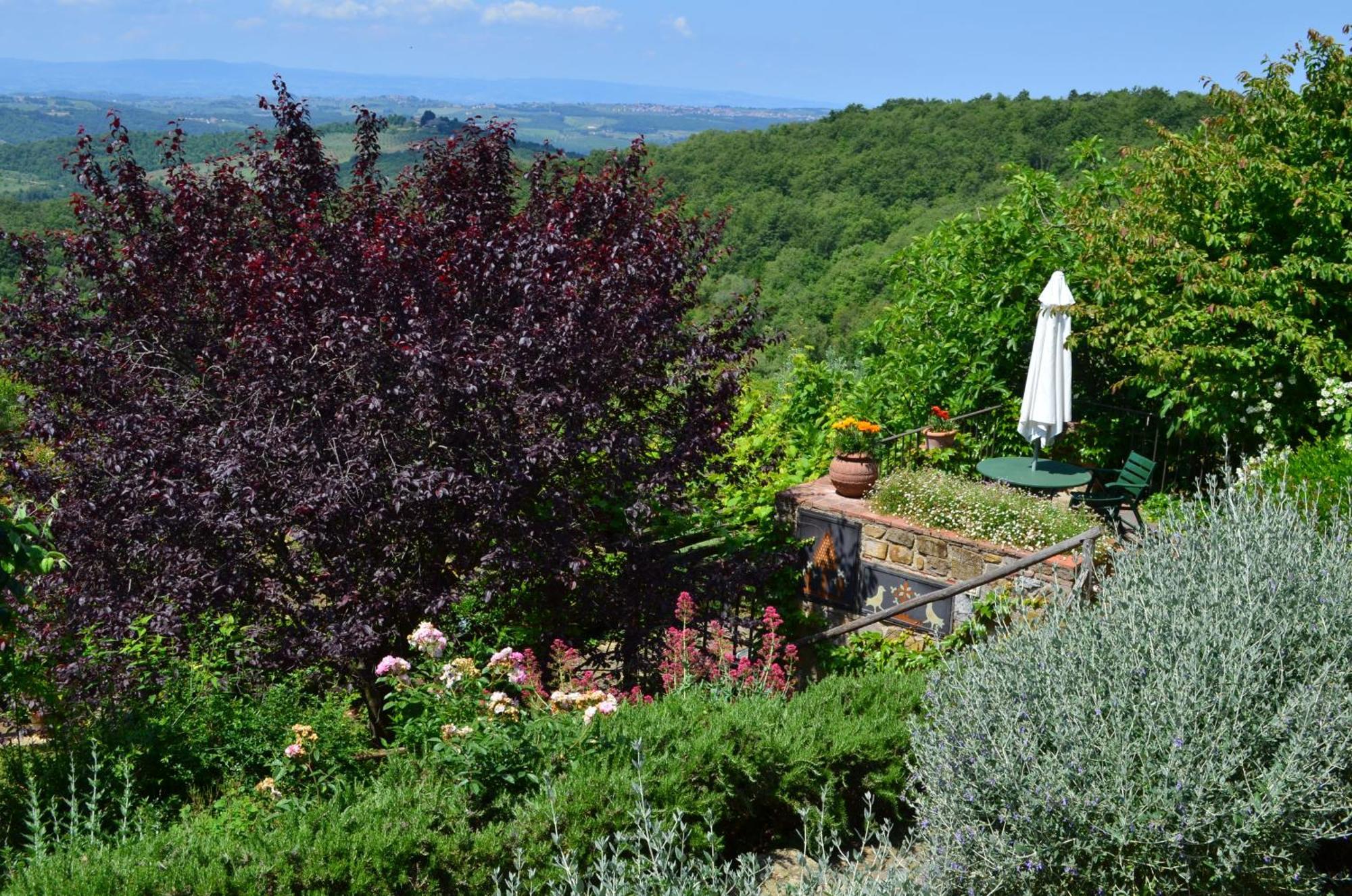 Casa Ercole Farm Stay Greve in Chianti Exterior foto