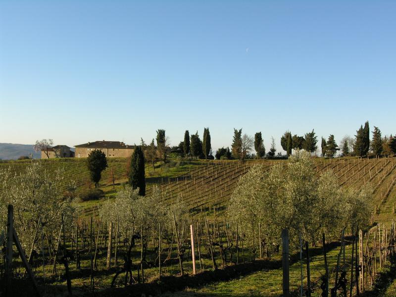 Casa Ercole Farm Stay Greve in Chianti Exterior foto