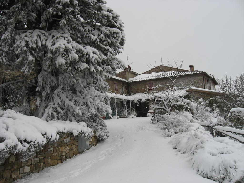 Casa Ercole Farm Stay Greve in Chianti Exterior foto